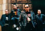 Social Distortion