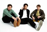 The Wombats